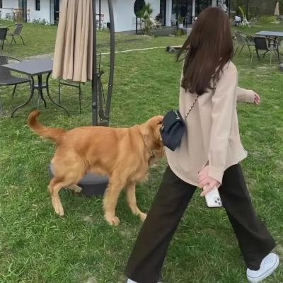 心链